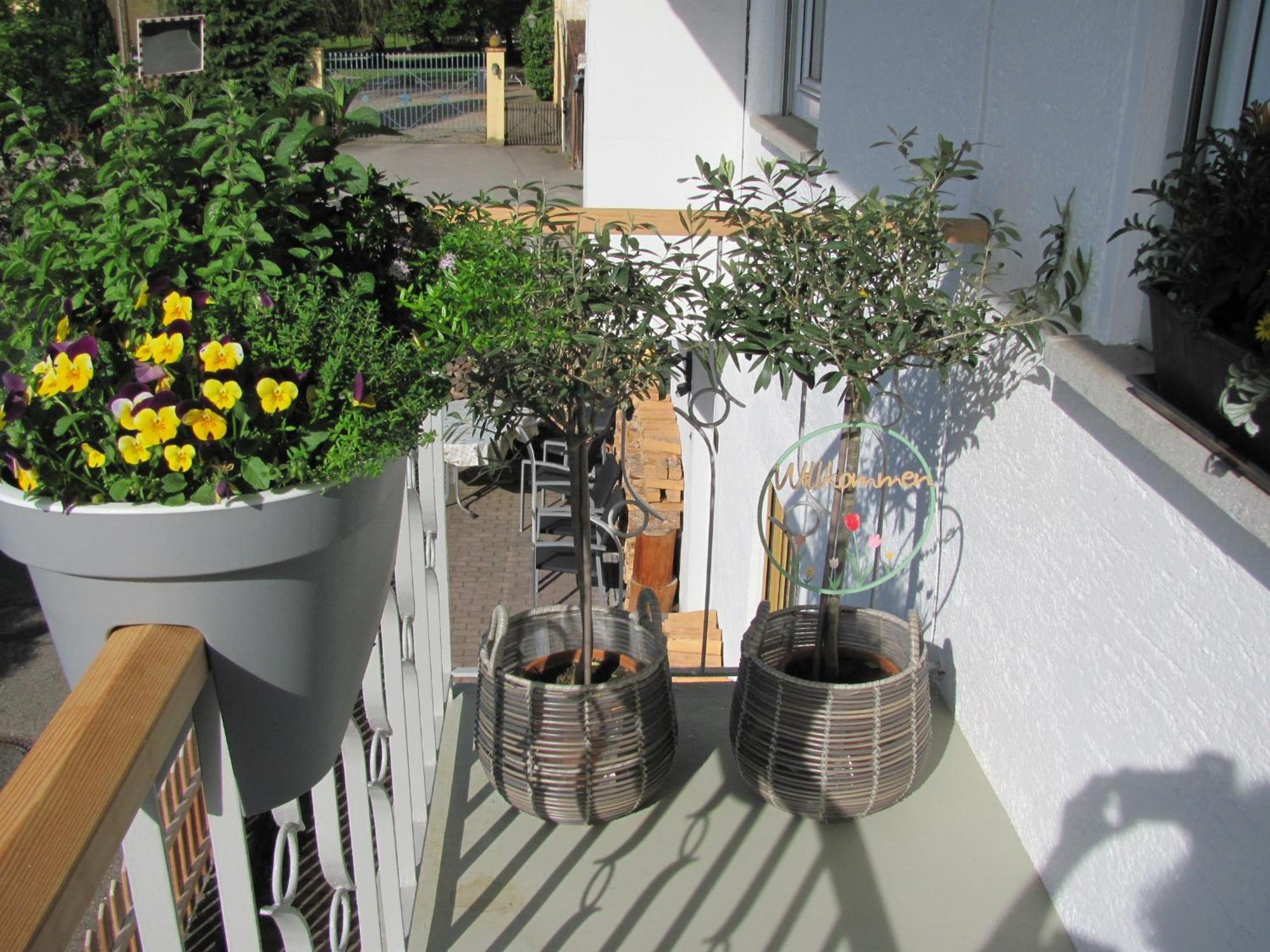 #1Gemuetliches Ruhiges Sonniges Balkonzimmer Mit Gemeinschaftsbad W-Lan Airport Nah Late Night Check In Haus Nr 9,5 Trunkelsberg Bagian luar foto